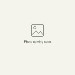 Ramraj Organic Peepal — photo coming soon